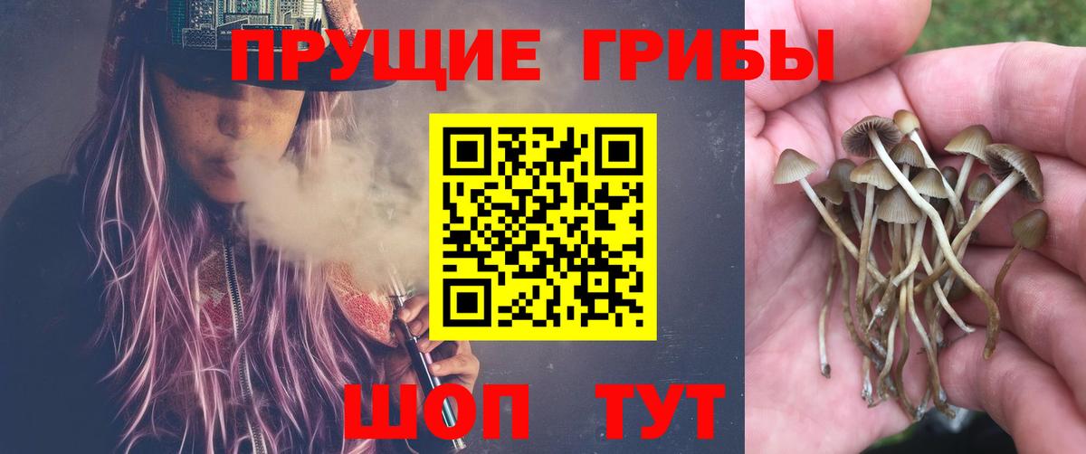 Галлюциногенные грибы прущие грибы Алушта