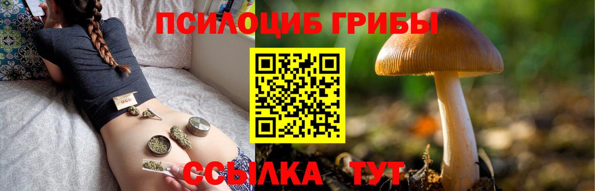 Алушта  Галлюциногенные грибы ЛСД  продажа наркотиков  Вход с VPN 